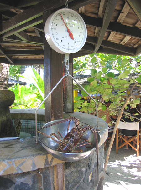 [St. Martin Pictures]